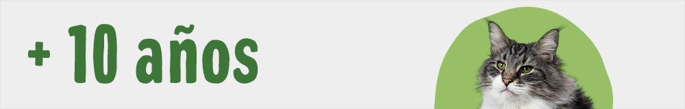 Comida para gatos a partir de 10 años