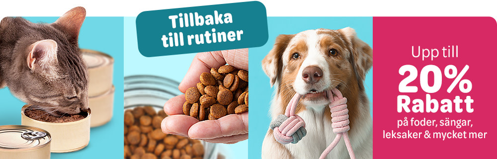 Tillbaka till Rutiner