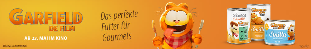 Garfield