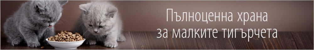 Суха храна за котенца