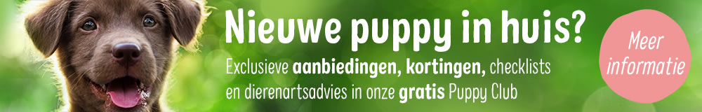 Ontdek de zooplus Puppy Club!