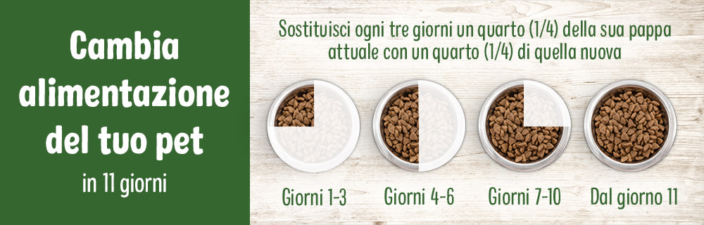 cambio alimentazione