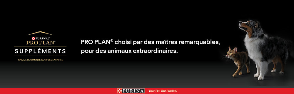 Complément alimentaire pour animaux de compagnie