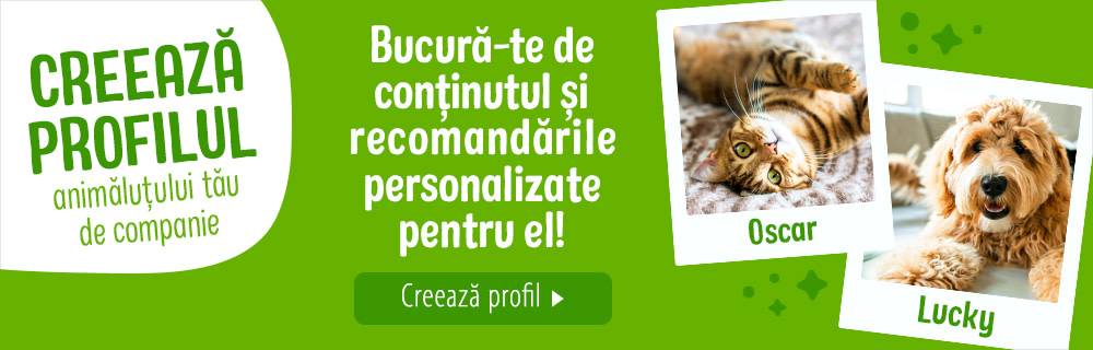 Vrem să-ți cunoaștem animăluțul minunat! Creează profil >