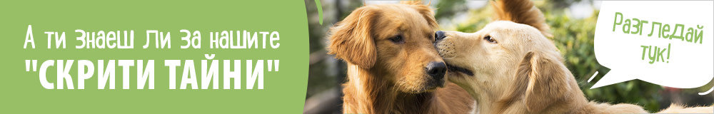 А ти знаеш ли за нашите "скрити тайни"? 🤫