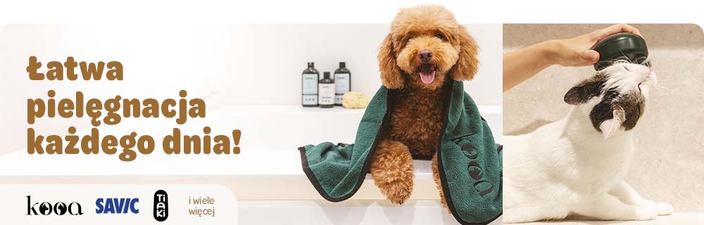 Produkty pielęgnacyjne w promocyjnych cenach