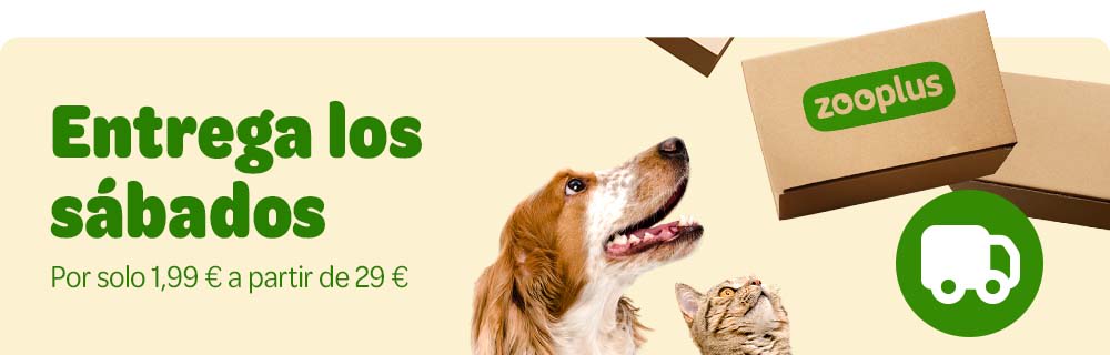Ahora puedes recibir tu pedido los sábados por solo 1,99 € con pedidos a partir de 29 €