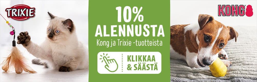 10% alennusta