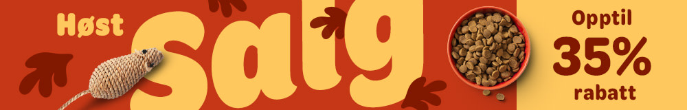Tilbud til høsten