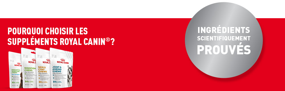 POURQUOI CHOISIR LES SUPPLÉMENTS ROYAL CANIN® ?