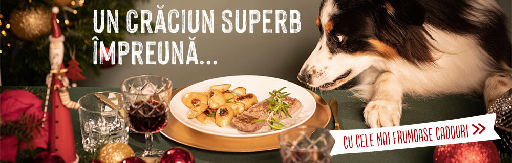 Pentru un Crăciun Superb Împreună!