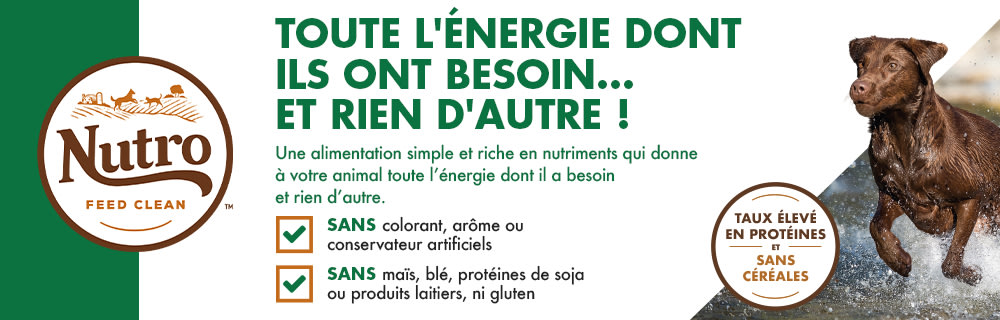 Nutro : toute l'énergie dont ils ont besoin... et rien d'autre !