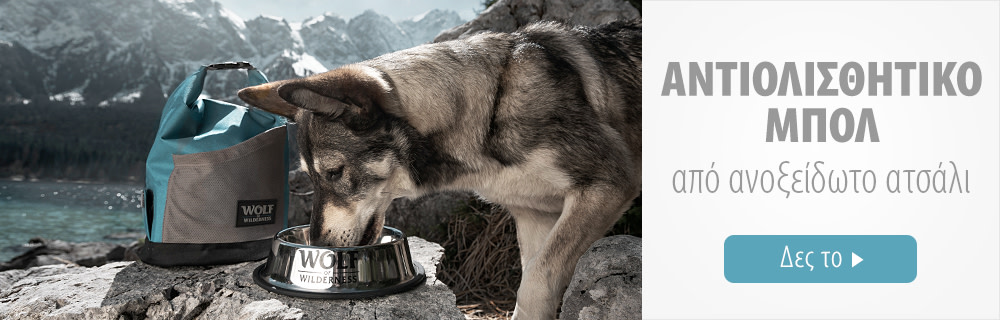 Wolf of Wilderness Αντιολισθητικό Μπολ Τροφής Σκύλων