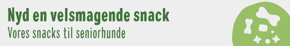 Velsmagende snack