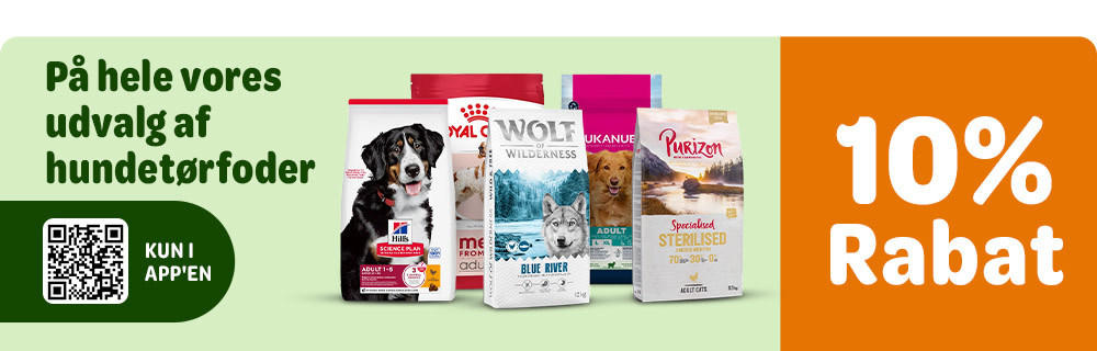 Spar 10% på hele vores udvalg af hundetørfoder i appen