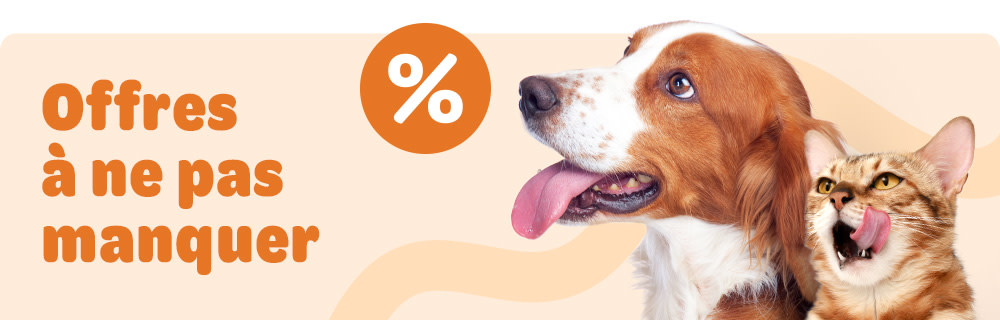 Offres de la semaine chez zooplus