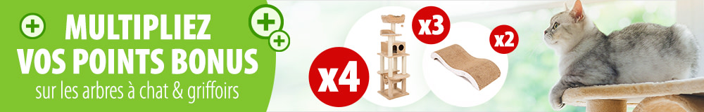 Multipliez vos points bonus sur les arbres à chat !