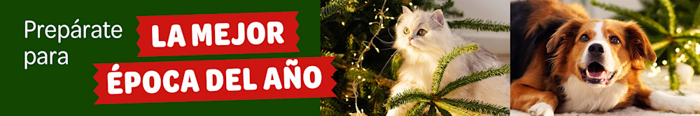 Mercadillo navideño