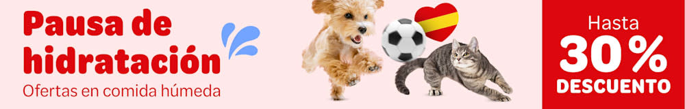 Hidratación diaria: ¡hasta un 20 % de descuento en comida y accesorios para perros y gatos