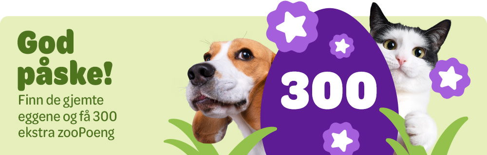 zooplus Club: Finn de skjulte påskeggene