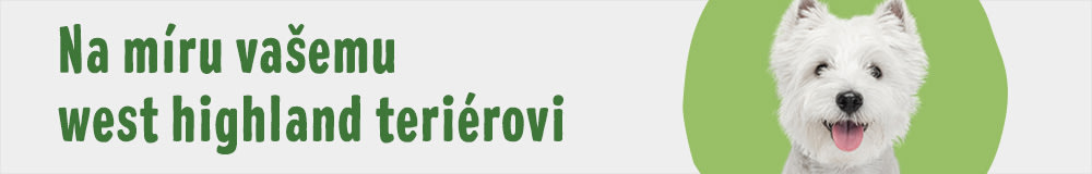 Westík