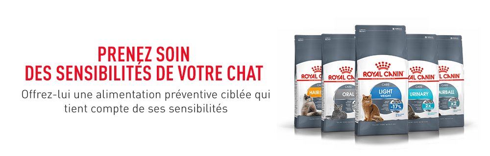 Prenez soin des sensibilités de votre chat