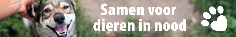 Help dieren in nood
