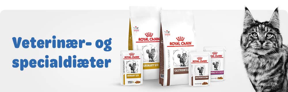 Diætfoder til katte