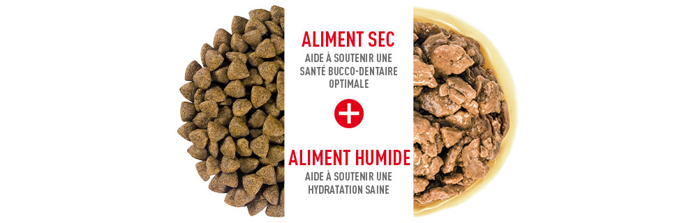 Alimentation mixte Royal Canin SHN