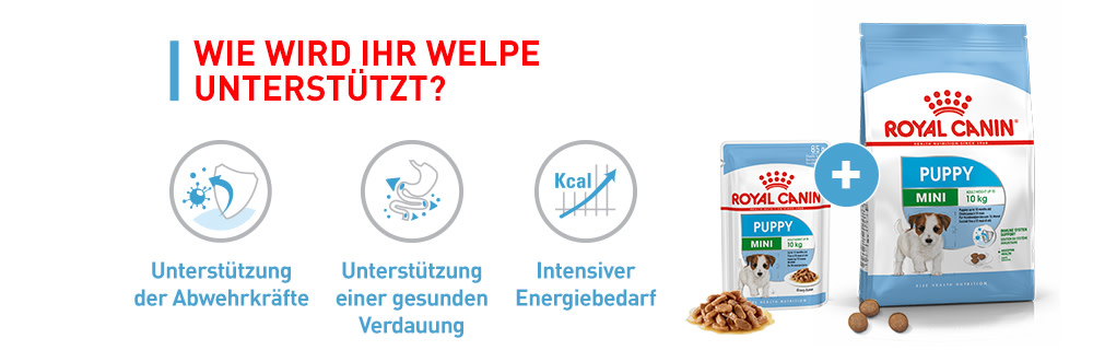 Royal Canin Puppy Box module 8