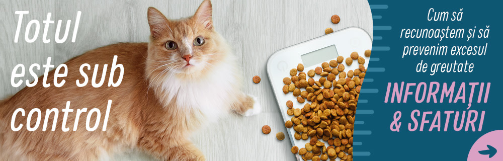 Pisica ta are probleme cu greutatea?