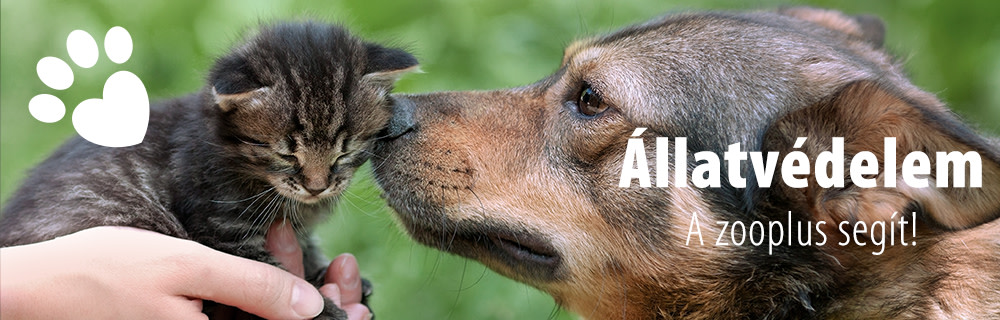 Állatvédelem - a zooplus segít!