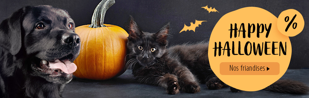 Top Snacks zu Top Preisen