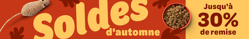 L'automne chez zooplus