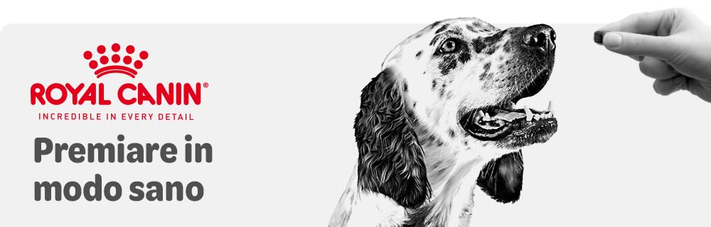 Royal Canin Vet Treats