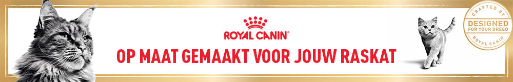 Royal Canin raskattenvoer voor raskatten