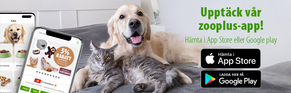 Ladda ner våran app