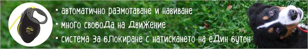 Автоматични поводи