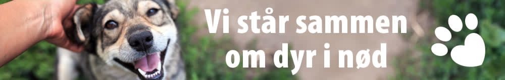 Vi står sammen om dyr i nød!