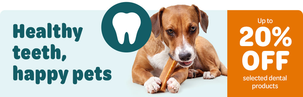 dental