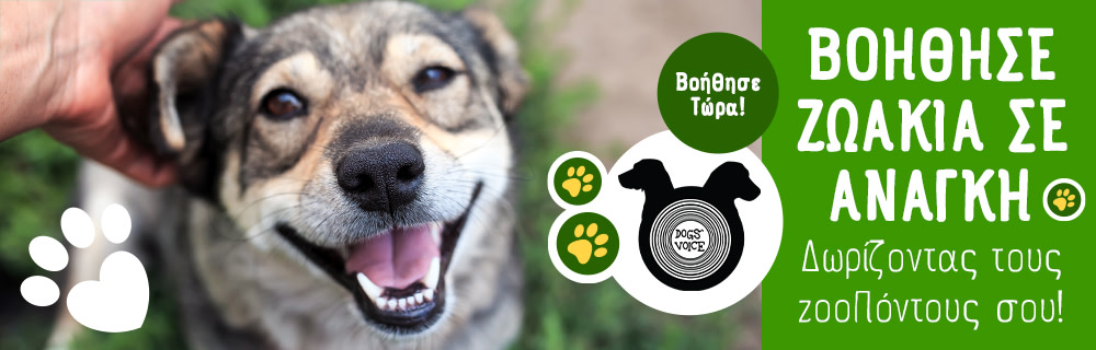 …Γιατί και τα σκυλάκια έχουν φωνή!