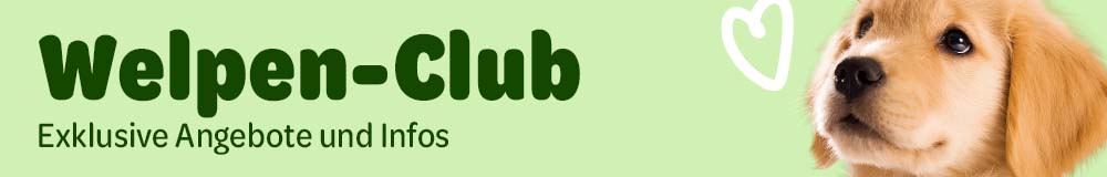 Welpenclub entdecken