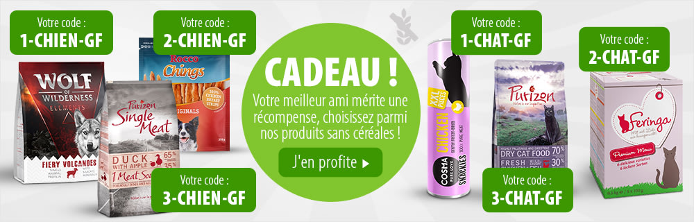 Découvrez l'offre du moment !
