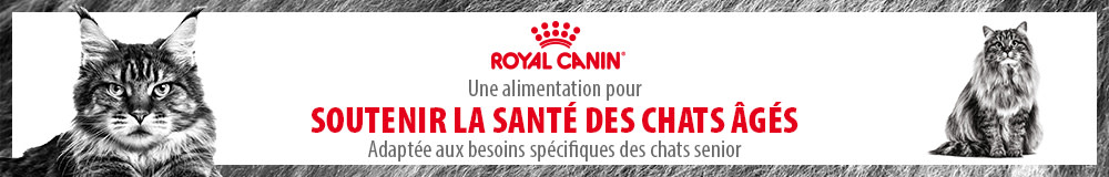 Nourriture spécifique pour chat Senior