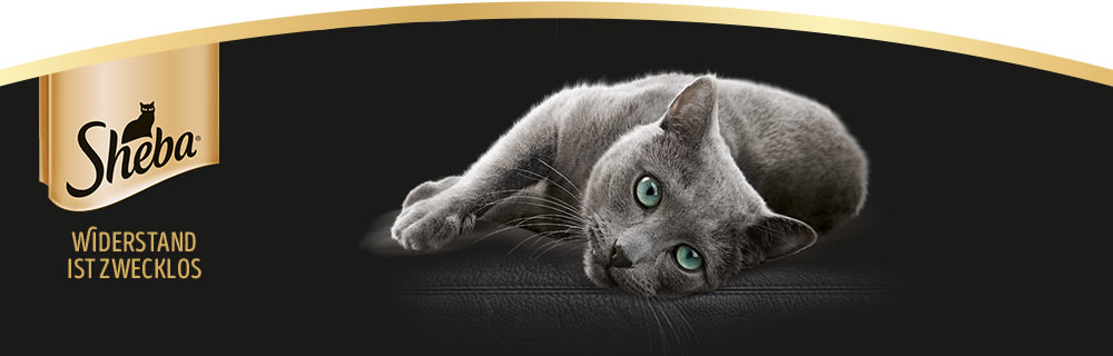 Sheba banner