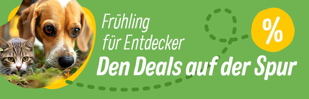 Frühling