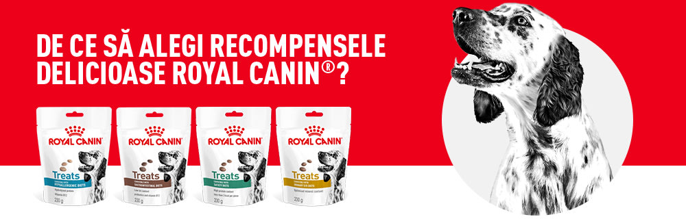 Royal Canin Vet Treats