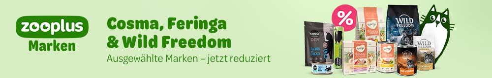 Best offers in Cat Food