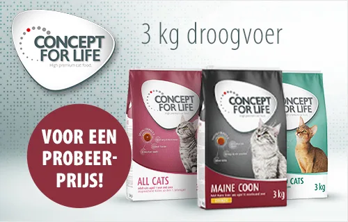 Concept for Life 3 kg Katten Droogvoer voor een speciale prijs!