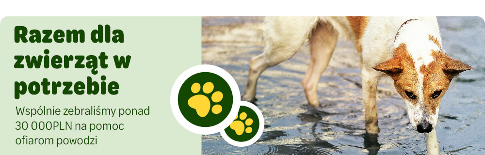 Pomagamy zwierzętom dotkniętym powodziami w Polsce